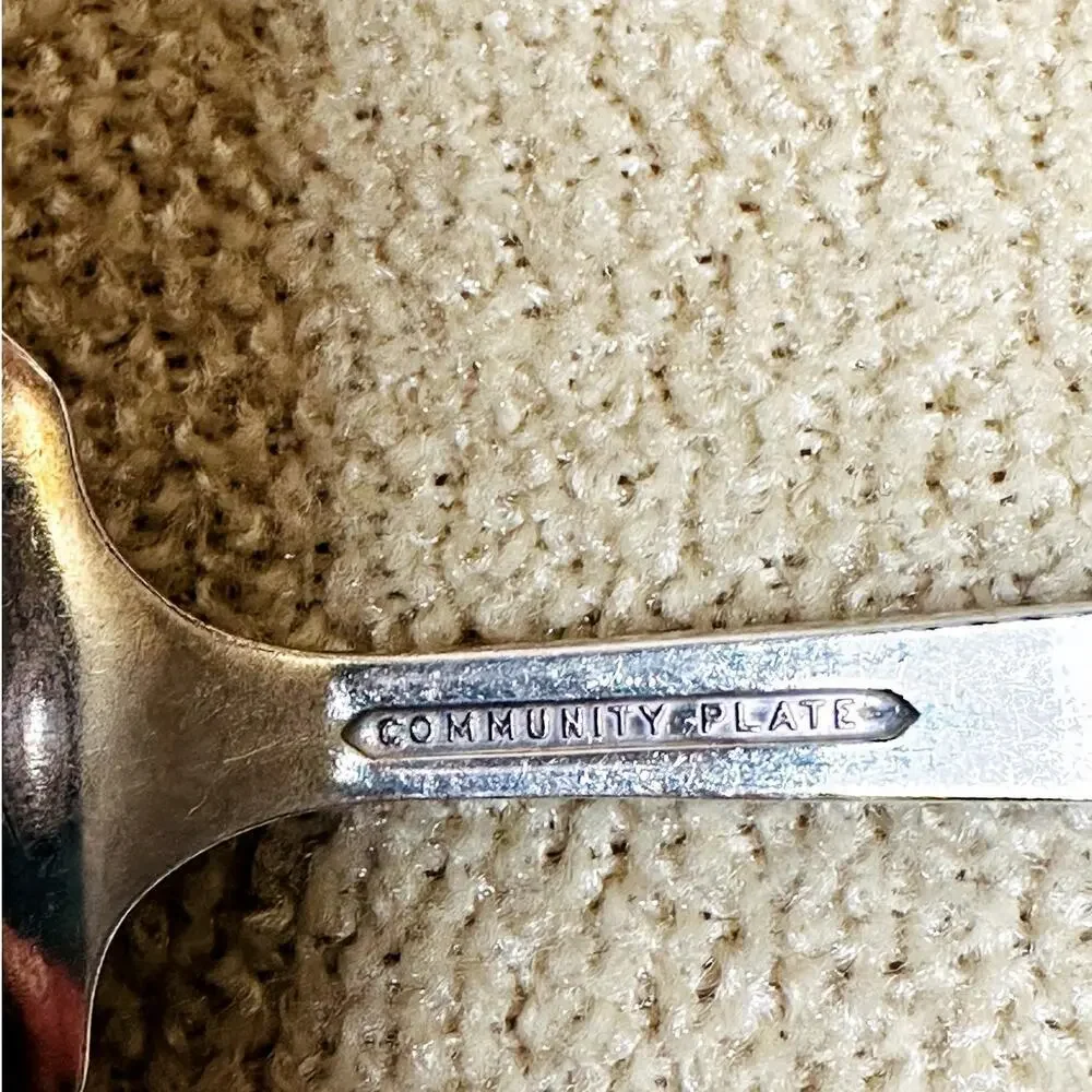 Vintage Community Plate Silverplate Coronation Bonbon Nut Casserole Server Spoon